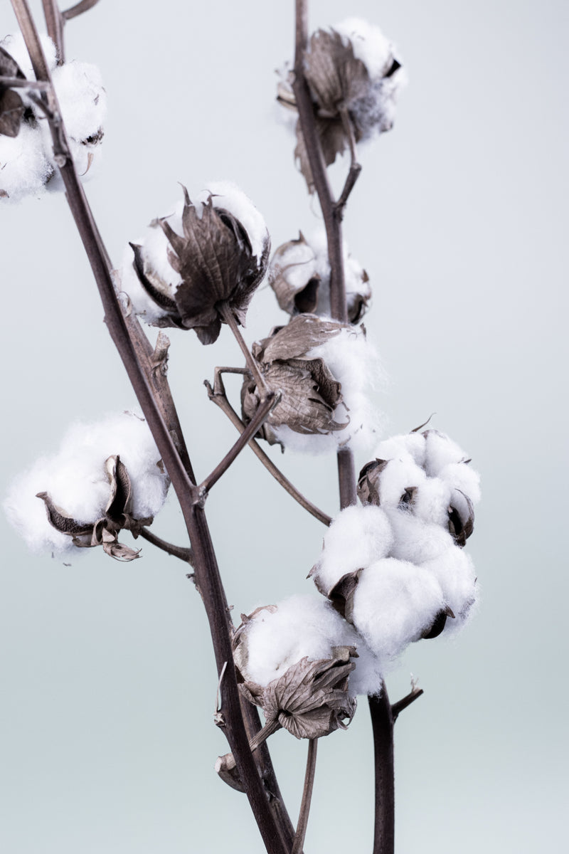 230g cotton. 400g fleece. We list the weight.